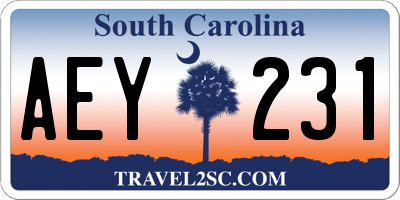 SC license plate AEY231