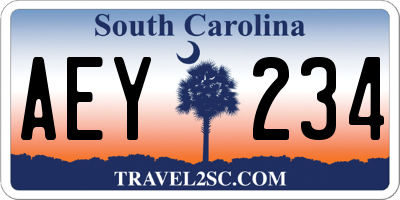 SC license plate AEY234