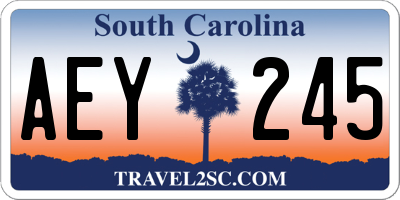 SC license plate AEY245