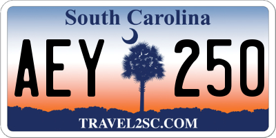SC license plate AEY250