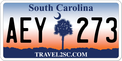 SC license plate AEY273