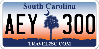 SC license plate AEY300