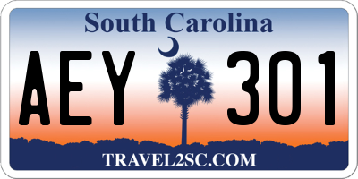 SC license plate AEY301