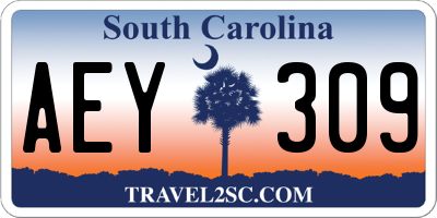 SC license plate AEY309