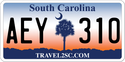 SC license plate AEY310
