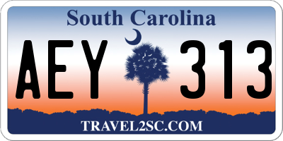 SC license plate AEY313