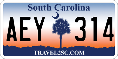 SC license plate AEY314