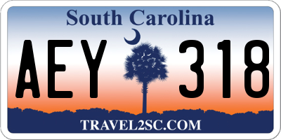 SC license plate AEY318