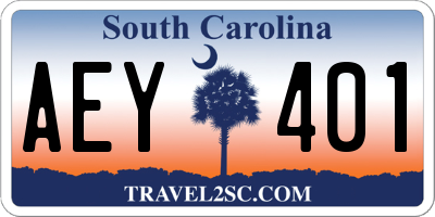 SC license plate AEY401