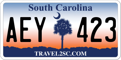 SC license plate AEY423