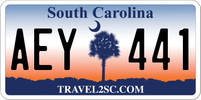 SC license plate AEY441