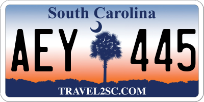 SC license plate AEY445