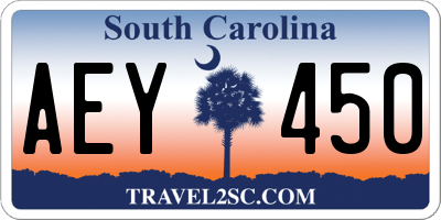 SC license plate AEY450