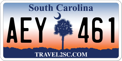 SC license plate AEY461