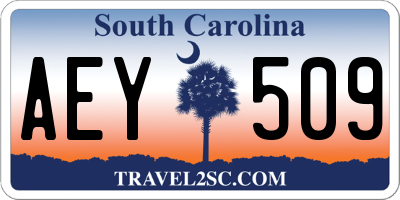 SC license plate AEY509