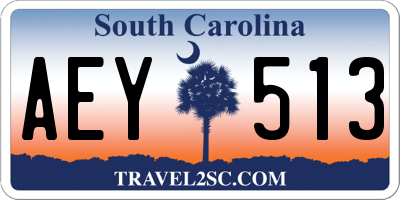 SC license plate AEY513