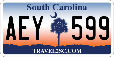 SC license plate AEY599