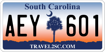SC license plate AEY601