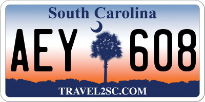 SC license plate AEY608