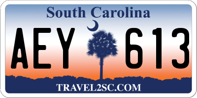 SC license plate AEY613