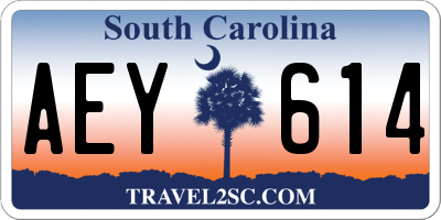 SC license plate AEY614