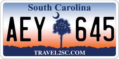 SC license plate AEY645