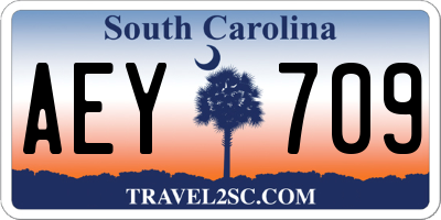 SC license plate AEY709