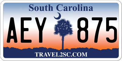 SC license plate AEY875