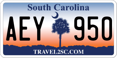 SC license plate AEY950