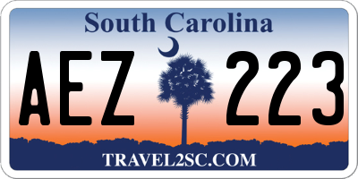 SC license plate AEZ223