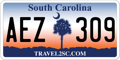 SC license plate AEZ309