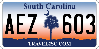 SC license plate AEZ603
