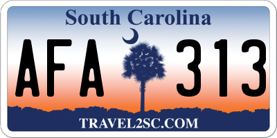 SC license plate AFA313