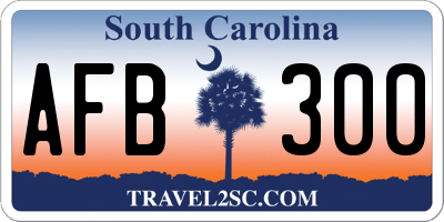 SC license plate AFB300