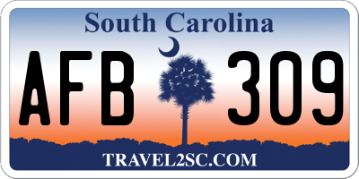 SC license plate AFB309