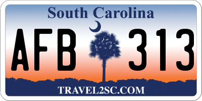 SC license plate AFB313
