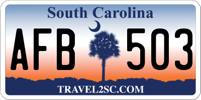 SC license plate AFB503