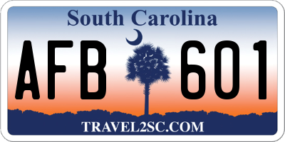 SC license plate AFB601