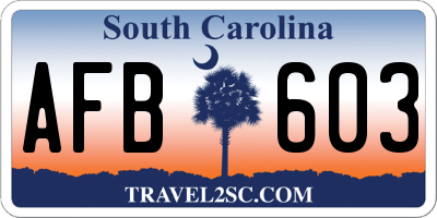 SC license plate AFB603