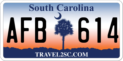 SC license plate AFB614