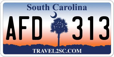 SC license plate AFD313