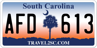 SC license plate AFD613