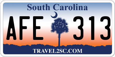 SC license plate AFE313