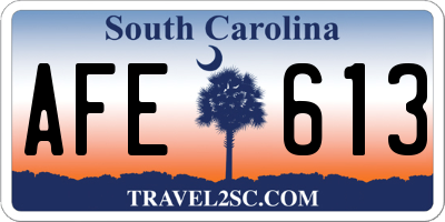 SC license plate AFE613