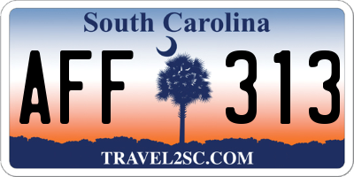 SC license plate AFF313
