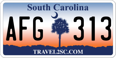 SC license plate AFG313