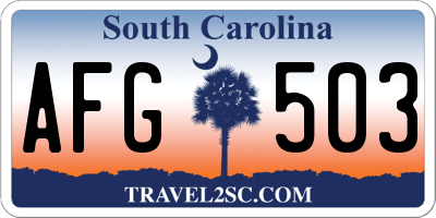 SC license plate AFG503