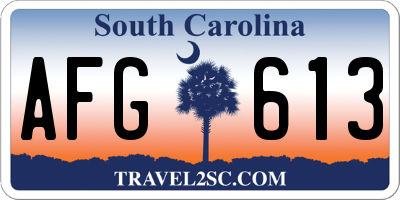 SC license plate AFG613