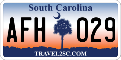 SC license plate AFH029