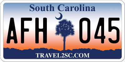 SC license plate AFH045